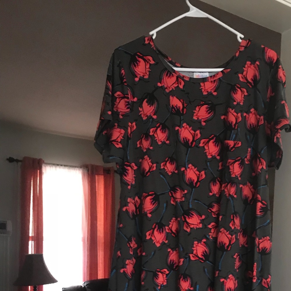 Lularoe Carly 2xl